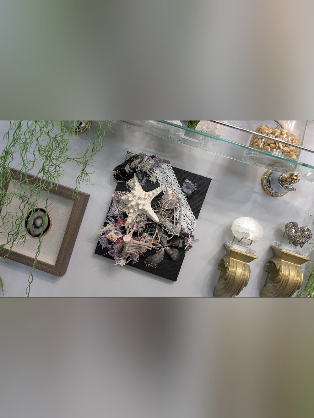 Coastal Seashell Canvas Beach Ocean Art